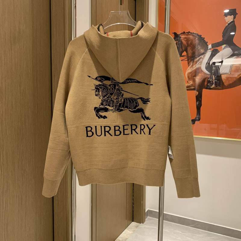Reversable BB Hoodie