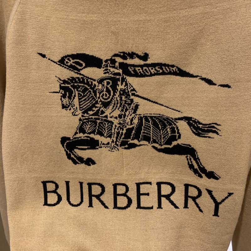 Reversable BB Hoodie